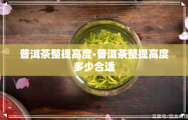 普洱茶整提高度-普洱茶整提高度多少合适