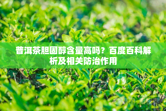 普洱茶胆固醇含量高吗？百度百科解析及相关防治作用