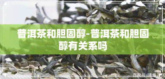 普洱茶和胆固醇-普洱茶和胆固醇有关系吗