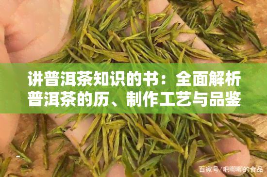 讲普洱茶知识的书：全面解析普洱茶的历、制作工艺与品鉴技巧