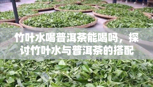 竹叶水喝普洱茶能喝吗，探讨竹叶水与普洱茶的搭配饮用是否适宜？