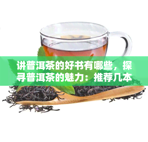 讲普洱茶的好书有哪些，探寻普洱茶的魅力：推荐几本好的普洱茶书