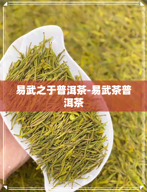 易武之于普洱茶-易武茶普洱茶