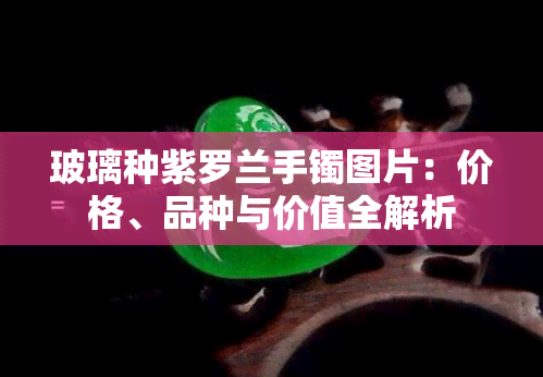 玻璃种紫罗兰手镯图片：价格、品种与价值全解析