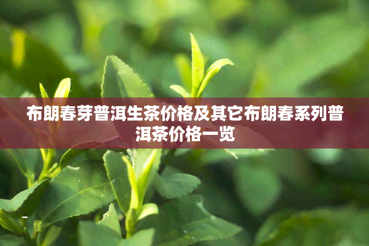 布朗春芽普洱生茶价格及其它布朗春系列普洱茶价格一览