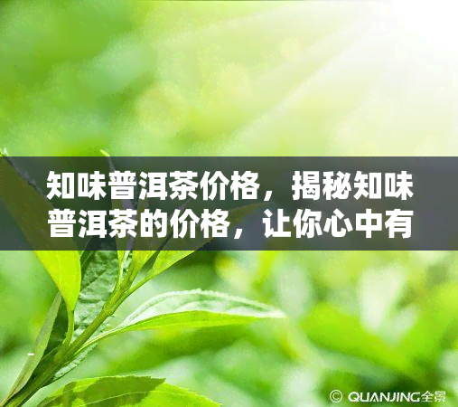 知味普洱茶价格，揭秘知味普洱茶的价格，让你心中有数！