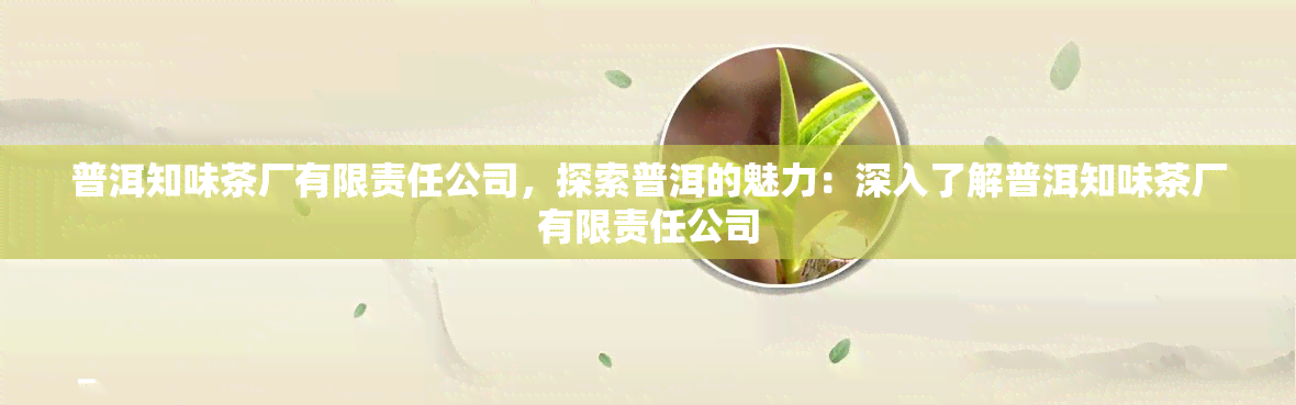 普洱知味茶厂有限责任公司，探索普洱的魅力：深入了解普洱知味茶厂有限责任公司