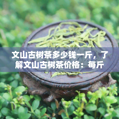 文山古树茶多少钱一斤，了解文山古树茶价格：每斤售价多少？