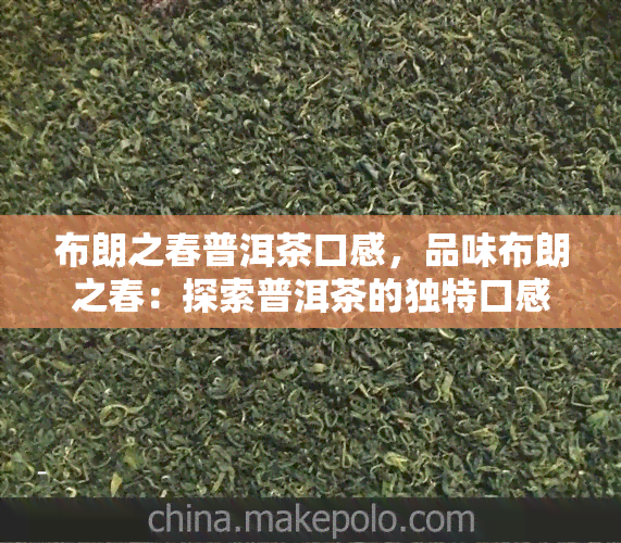 布朗之春普洱茶口感，品味布朗之春：探索普洱茶的独特口感