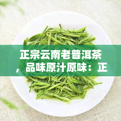 正宗云南老普洱茶，品味原汁原味：正宗云南老普洱茶的魅力与鉴