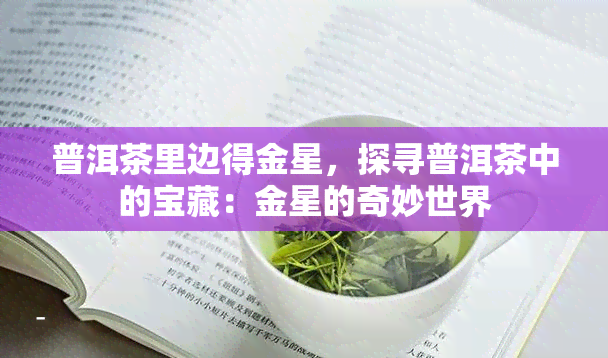 普洱茶里边得金星，探寻普洱茶中的宝藏：金星的奇妙世界