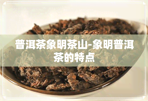 普洱茶象明茶山-象明普洱茶的特点