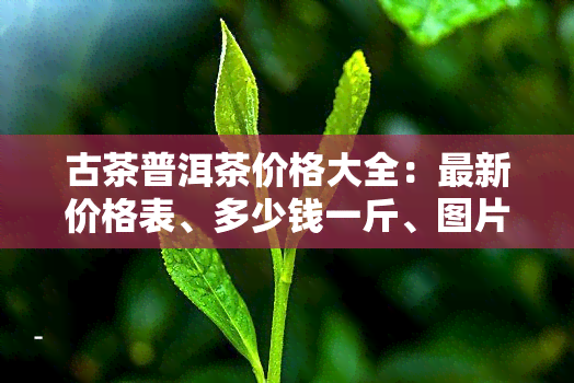 古茶普洱茶价格大全：最新价格表、多少钱一斤、图片及古茶树、古香等品种的价格查询