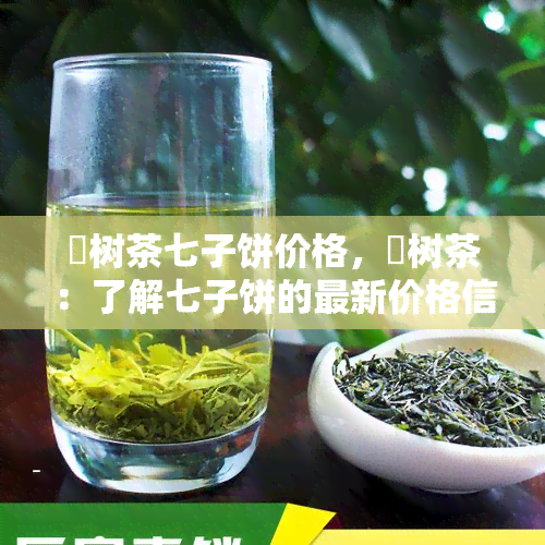 玥树茶七子饼价格，玥树茶：了解七子饼的最新价格信息