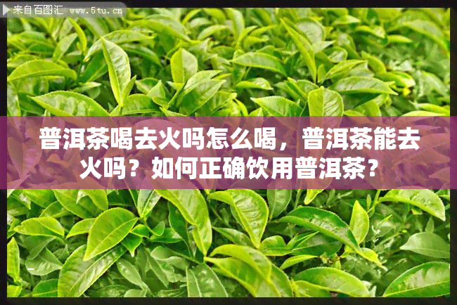 普洱茶喝去火吗怎么喝，普洱茶能去火吗？如何正确饮用普洱茶？