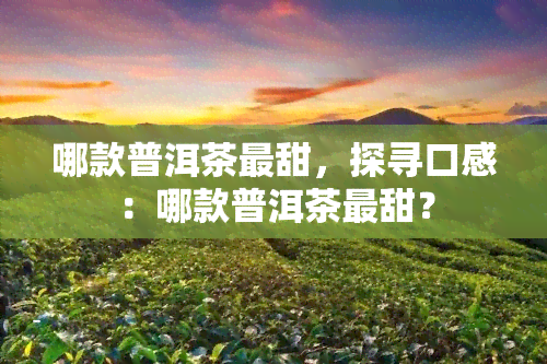 哪款普洱茶最甜，探寻口感：哪款普洱茶最甜？