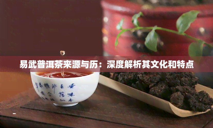 易武普洱茶来源与历：深度解析其文化和特点