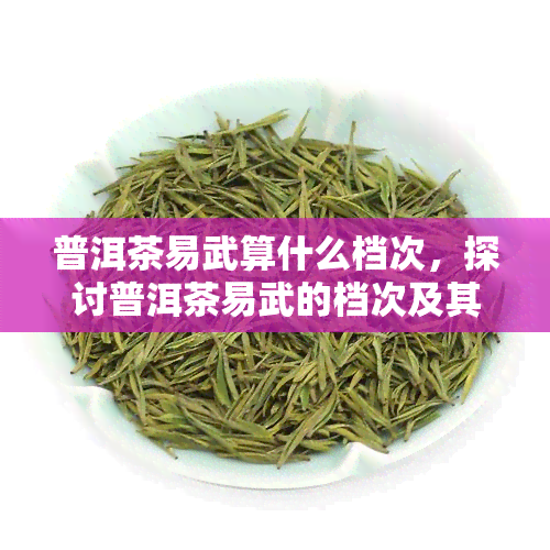 普洱茶易武算什么档次，探讨普洱茶易武的档次及其价值