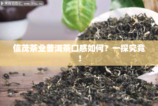 信茂茶业普洱茶口感如何？一探究竟！