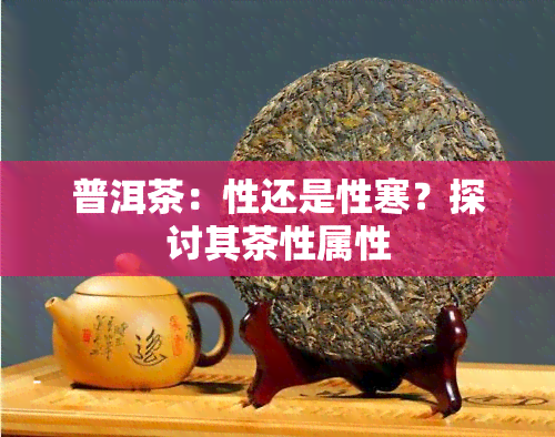 普洱茶：性还是性寒？探讨其茶性属性