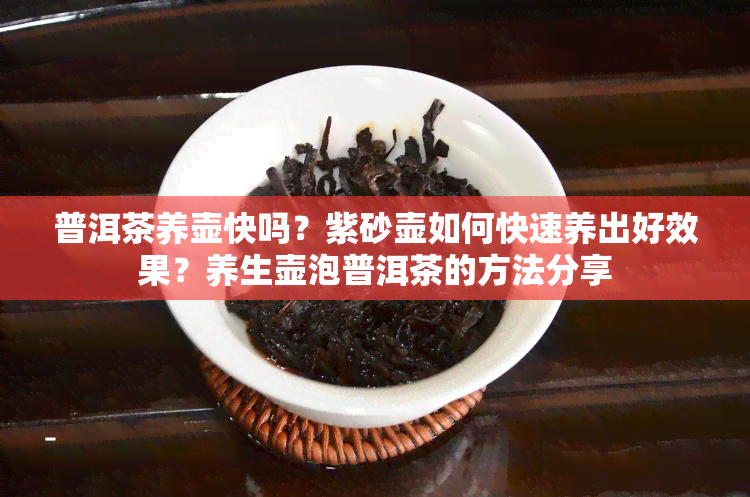 普洱茶养壶快吗？紫砂壶如何快速养出好效果？养生壶泡普洱茶的方法分享