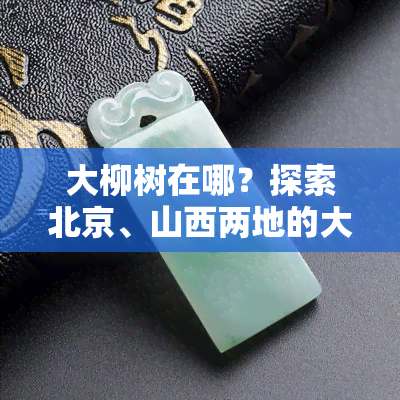 大柳树在哪？探索北京、山西两地的大柳树位置及相关信息