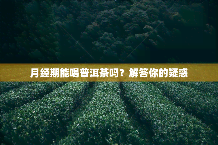 月经期能喝普洱茶吗？解答你的疑惑