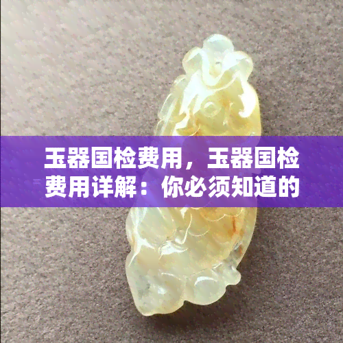 玉器国检费用，玉器国检费用详解：你必须知道的费用标准和计算方法