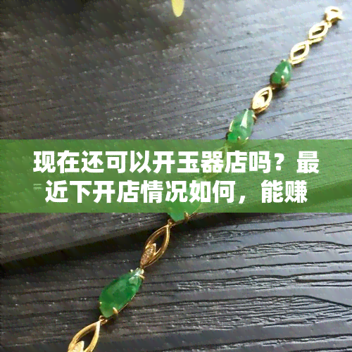 现在还可以开玉器店吗？最近下开店情况如何，能赚钱吗？