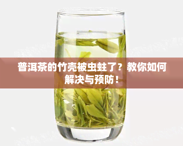 普洱茶的竹壳被虫蛀了？教你如何解决与预防！