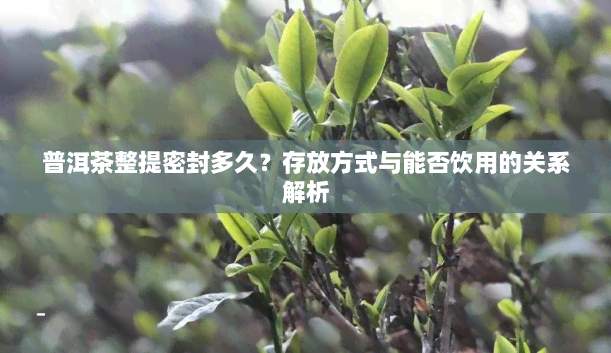 普洱茶整提密封多久？存放方式与能否饮用的关系解析