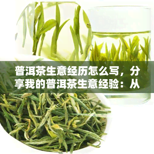 普洱茶生意经历怎么写，分享我的普洱茶生意经验：从新手到老手的历程