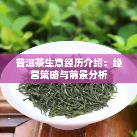 普洱茶生意经历介绍：经营策略与前景分析