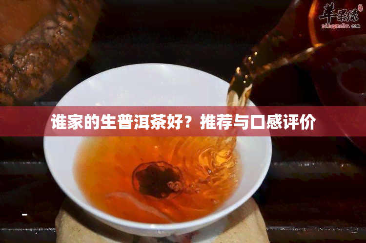 谁家的生普洱茶好？推荐与口感评价