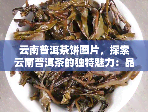 云南普洱茶饼图片，探索云南普洱茶的独特魅力：品味醇厚口感的普洱茶饼图片