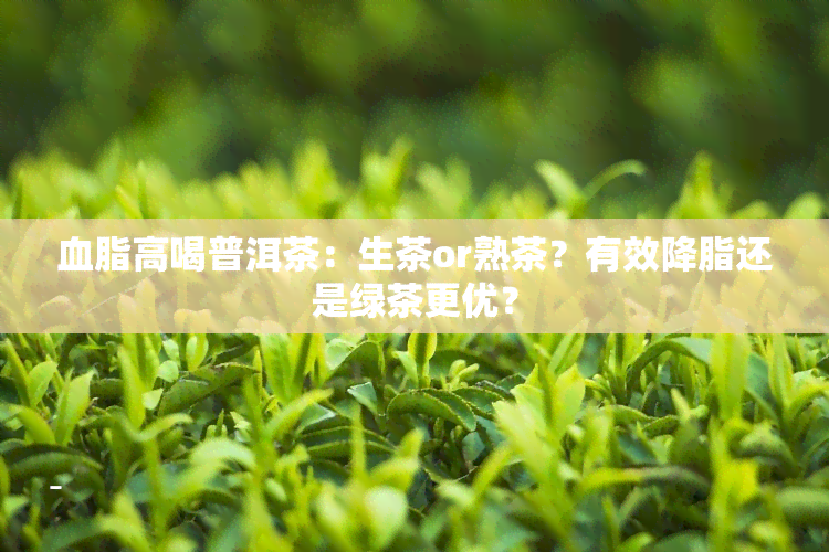 血脂高喝普洱茶：生茶or熟茶？有效降脂还是绿茶更优？