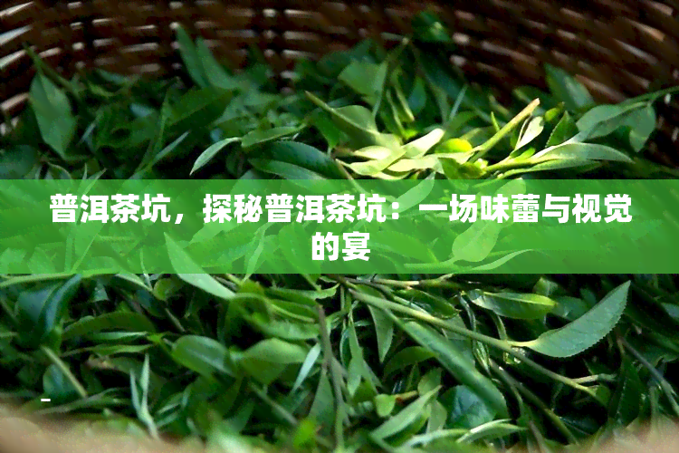 普洱茶坑，探秘普洱茶坑：一场味蕾与视觉的宴