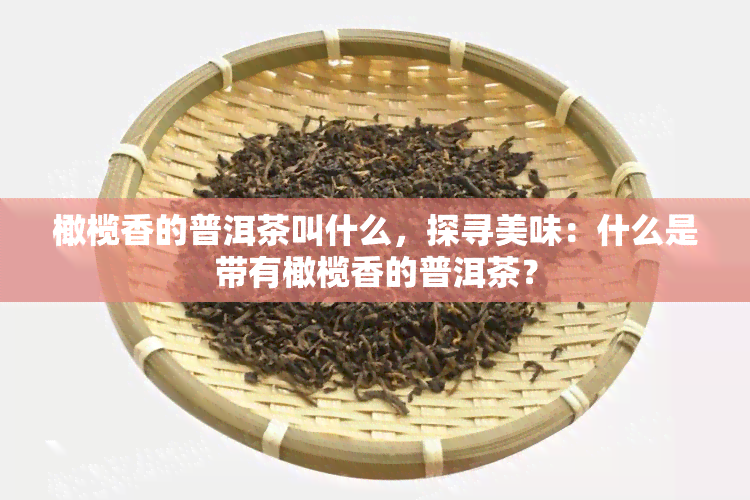 橄榄香的普洱茶叫什么，探寻美味：什么是带有橄榄香的普洱茶？