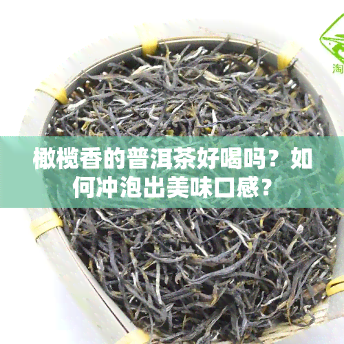 橄榄香的普洱茶好喝吗？如何冲泡出美味口感？