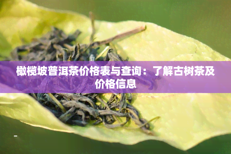 橄榄坡普洱茶价格表与查询：了解古树茶及价格信息