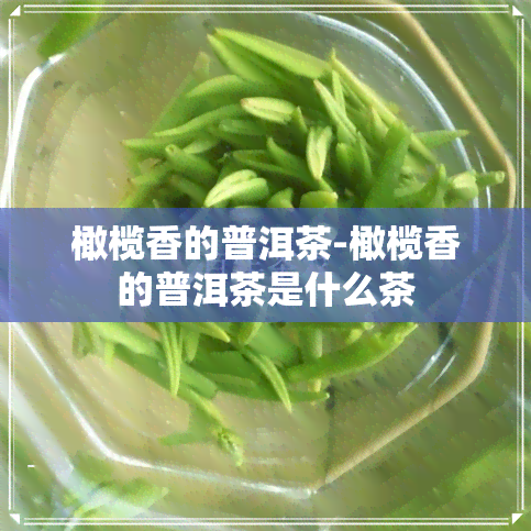 橄榄香的普洱茶-橄榄香的普洱茶是什么茶