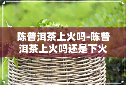 陈普洱茶上火吗-陈普洱茶上火吗还是下火