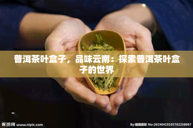 普洱茶叶盒子，品味云南：探索普洱茶叶盒子的世界