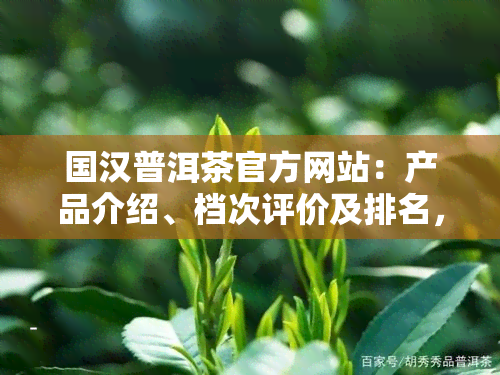 国汉普洱茶官方网站：产品介绍、档次评价及排名，云南国汉普洱茶品质如何？