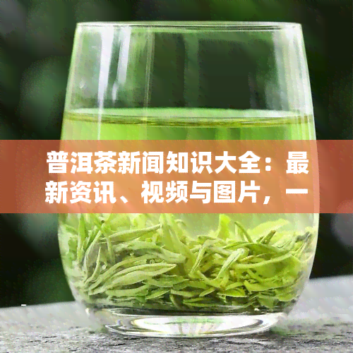 普洱茶新闻知识大全：最新资讯、视频与图片，一网打尽！