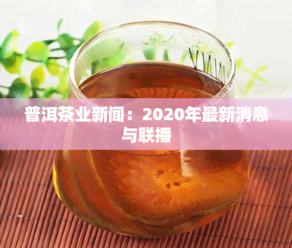 普洱茶业新闻：2020年最新消息与联播