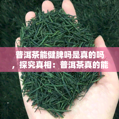 普洱茶能健脾吗是真的吗，探究真相：普洱茶真的能够健脾吗？