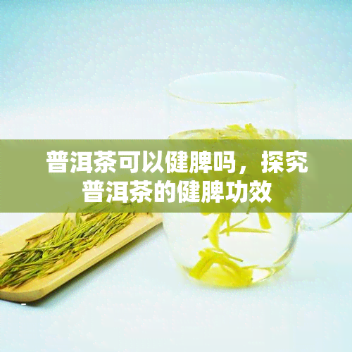 普洱茶可以健脾吗，探究普洱茶的健脾功效