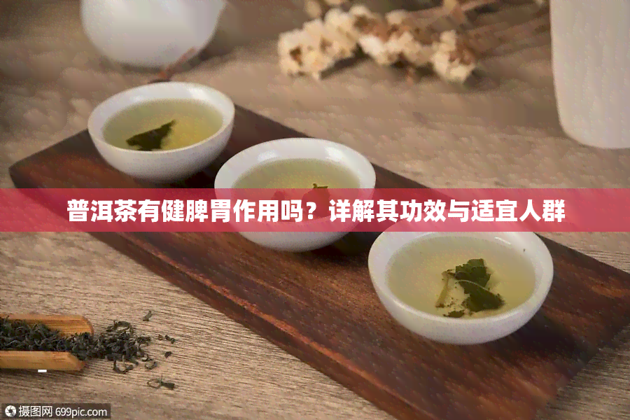 普洱茶有健脾胃作用吗？详解其功效与适宜人群