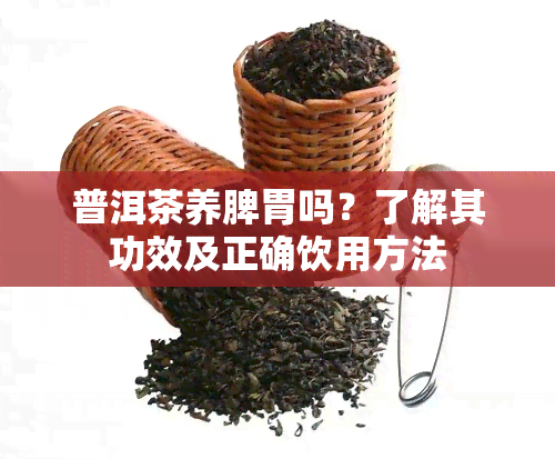 普洱茶养脾胃吗？了解其功效及正确饮用方法